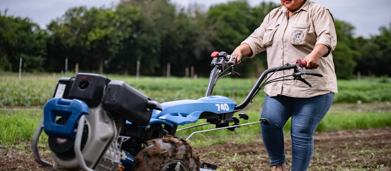 Productora opera un motocultor en una parcela agr&iacute;cola